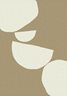 Carpet Royal Retro Almond 120x170