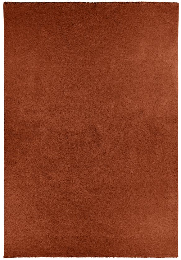 Carpet Wellness Terra - 135x190 cm.