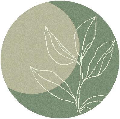 Carpet Royal Cream - 160x160 CM