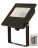 Flood LED Light Black 10W with Remote Control.