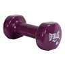 Vinyl Coated Dumbell 6 Lbs.