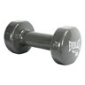 Vinyl Coated Dumbbell 10 Lbs.