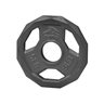Olympic Iron Weight Plate 5 Lbs.