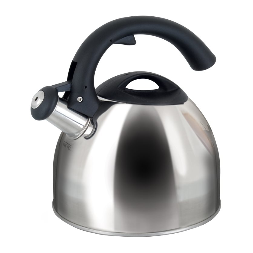 Mr. Coffee Carterton Stainless Steel Whistling Tea Kettle, 1.5 qt, Silver