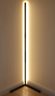 Modern LED Floor Lamp 22W 3000K without Remote Control