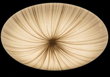 Home Delight LED Ceiling Lamp - 24W, 3000K