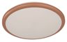 Ceiling Lamp Goldgold