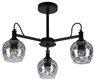 Ceiling Lamp Black