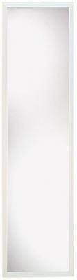 Door mirror