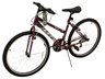 Granite 26 Mountain Bike - Red