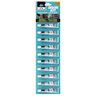 BISON BISON KIT 10CRD 14ML