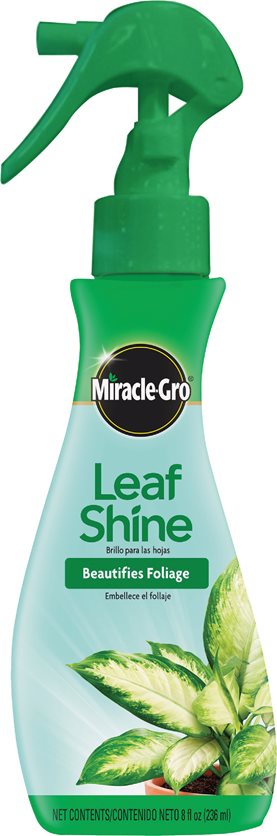 8oz Leaf Shine