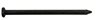 Common Nail, 2 1/2
