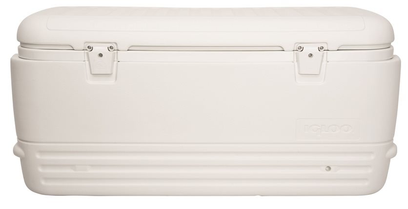 Polar White