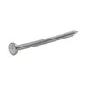 Common Nail, 2 1/2