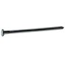 Common Nail, 3 1/2