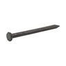 Common Nail, 2